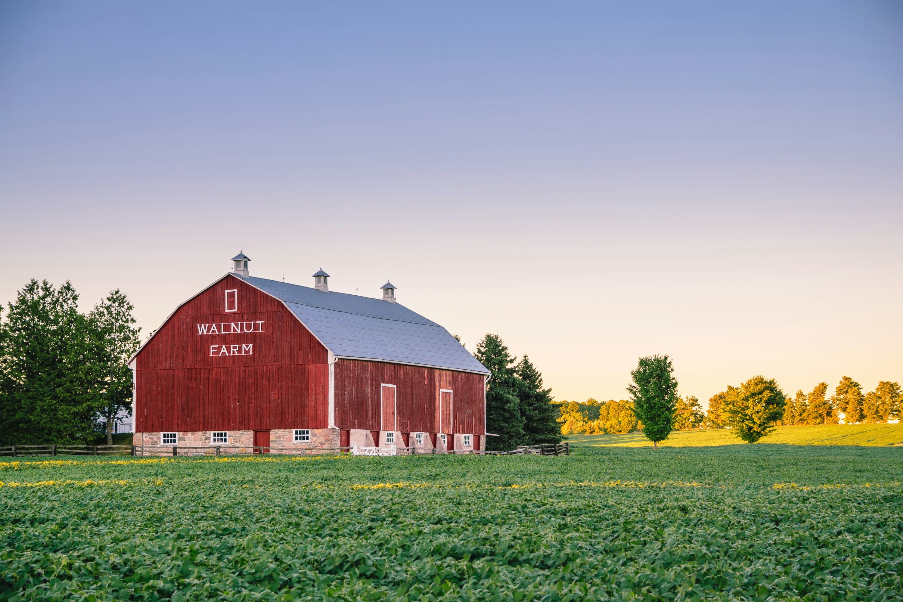 Meet Your Neighbors: The Johnsons' Farm
